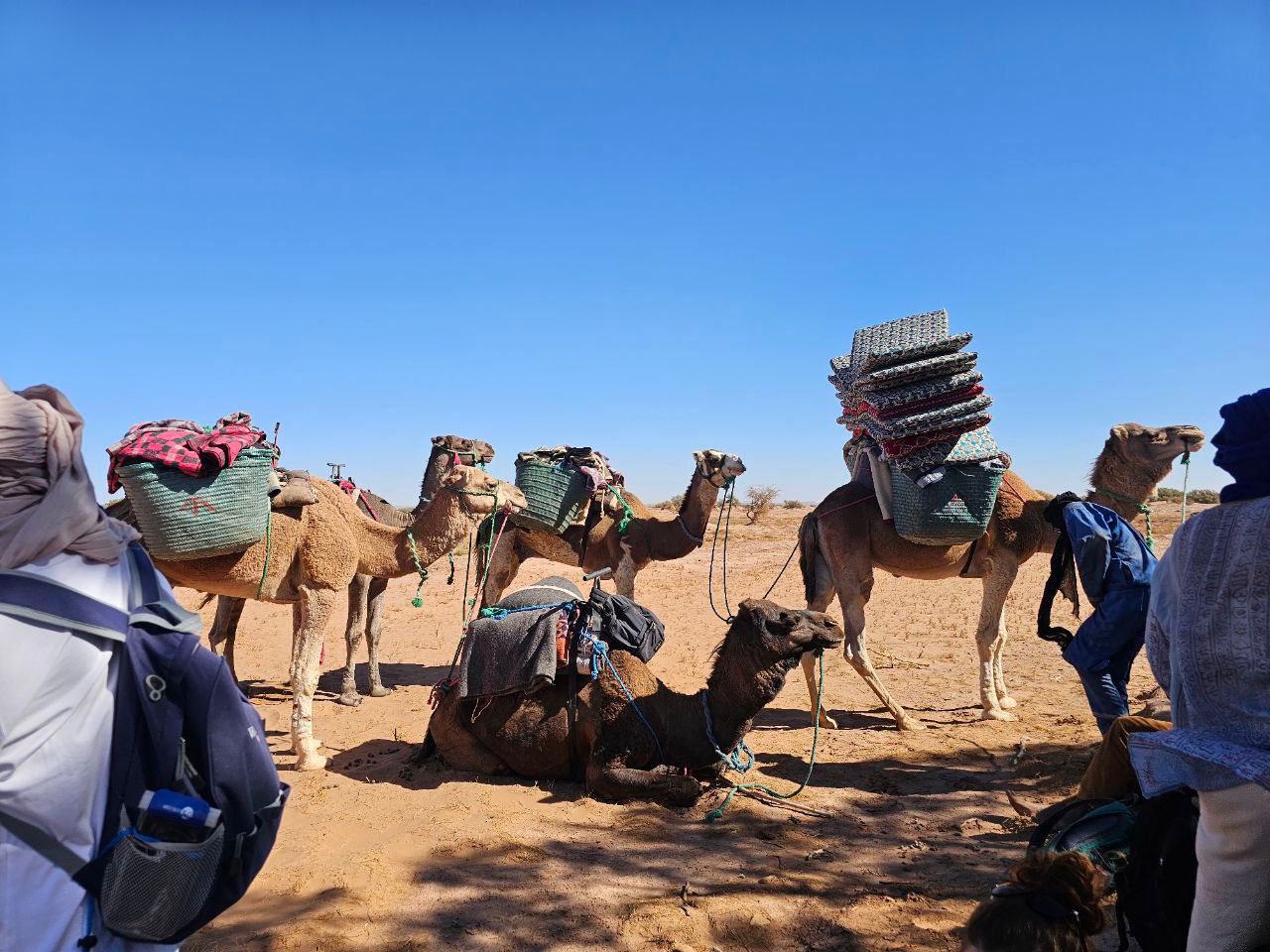 Caravane dans le désert
